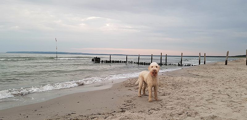 Ostseeurlaub